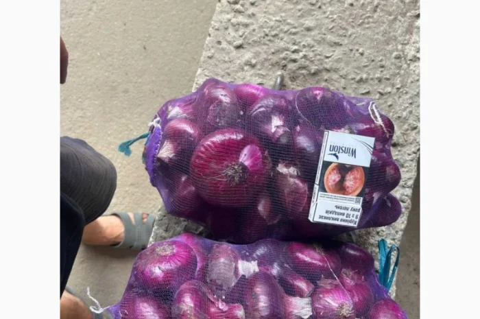 Ялтинский лук на продажу- фото № 4