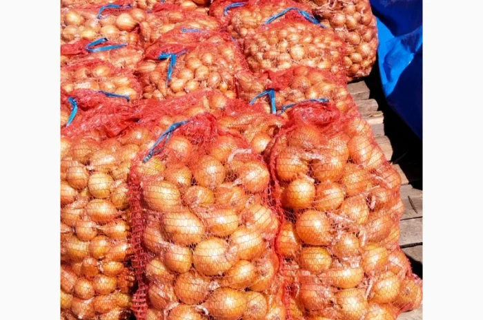 Продаж цибулі 1-2 сорт- фото № 1