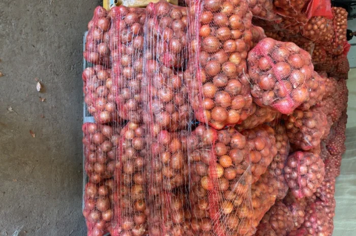 Продаж цибулі сорту медуза- фото № 1