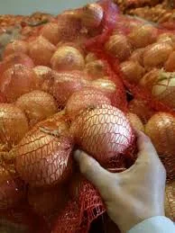 Молода цибуля рання зелена та ріпчаста з Київщини- фото № 1