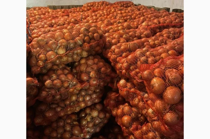 Фасованный лук Медуза, опт от 1 тонны- фото № 1