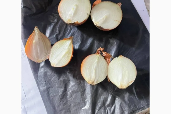 Цибуля ріпчаста оптом від виробника- фото № 2