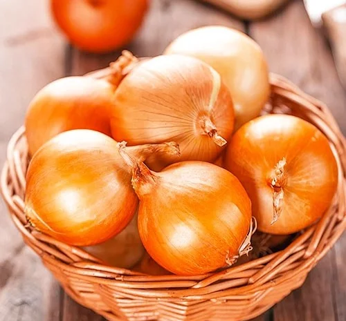 Закупаем лук репчатый оптом в Киеве- фото № 1