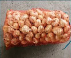 Покупка лука для переробки- фото № 1