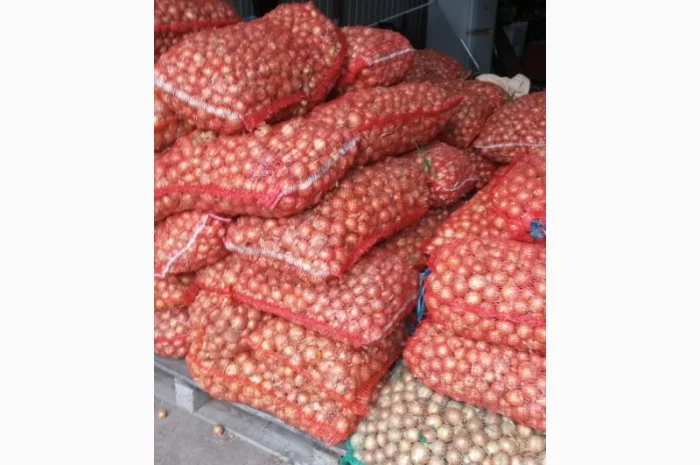 Куплю цибулю халцидон- фото № 1