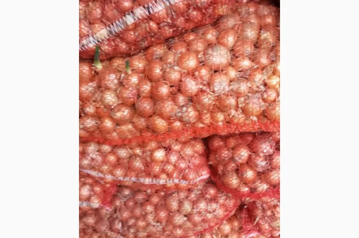 Куплю цибулю халцидон- фото № 2