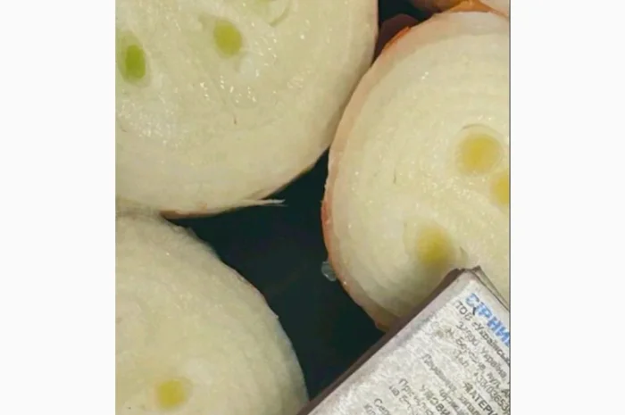 Продажа лука на выгонку пера- фото № 1