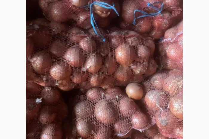 Продажа цибулі гарної якості- фото № 3