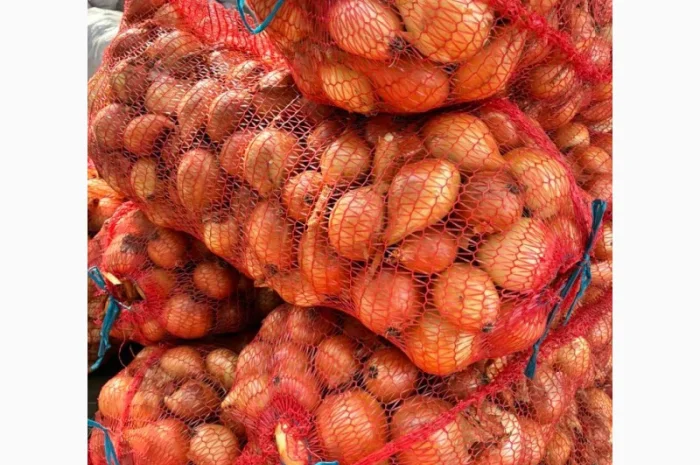 Цибуля на продаж- фото № 1