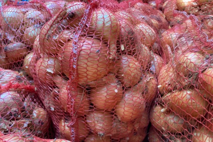 Продаю Цибулю сорту Фотон- фото № 2