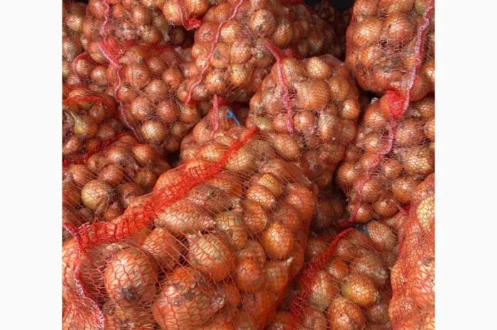 Продаж цибулі Свіфт та Фабула- фото № 5