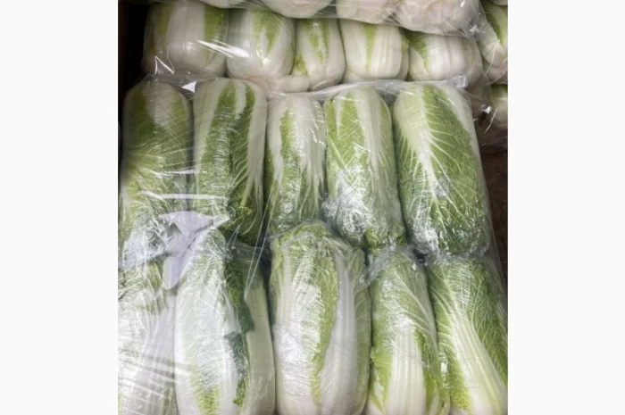 Покупка Пекінської капусти на постійній основі- фото № 3