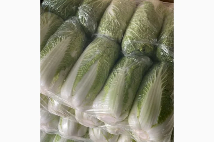 Покупка Пекінської капусти на постійній основі- фото № 5