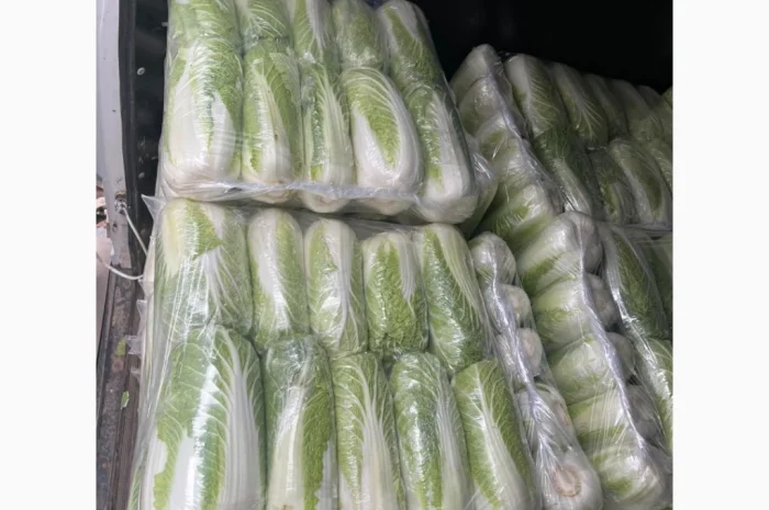 Покупка Пекінської капусти на постійній основі- фото № 2