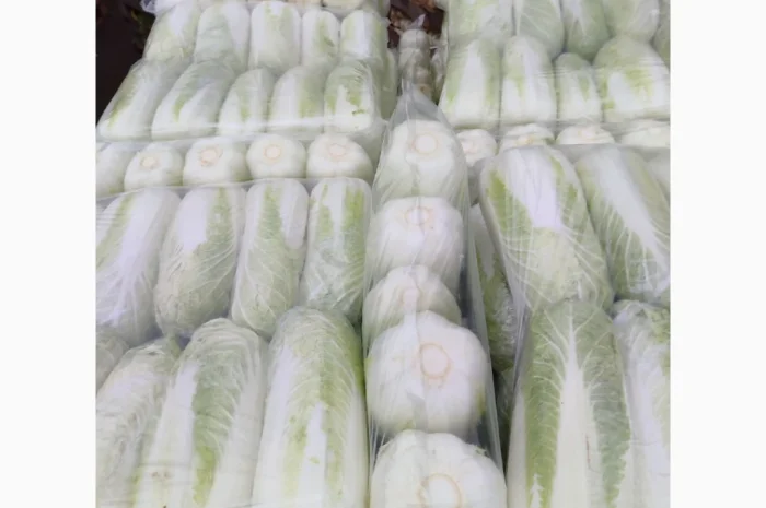 Покупка Пекінської капусти на постійній основі- фото № 6