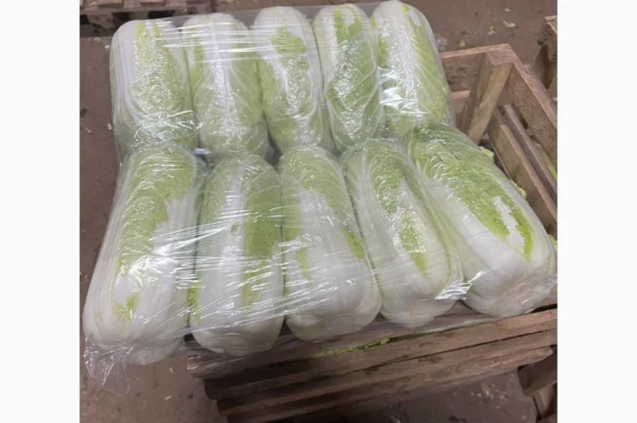 Покупка Пекінської капусти на постійній основі- фото № 7