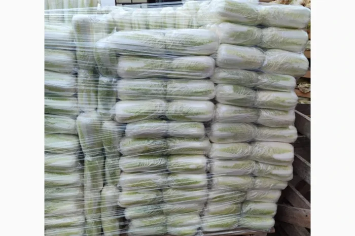 Покупка Пекінської капусти на постійній основі- фото № 8