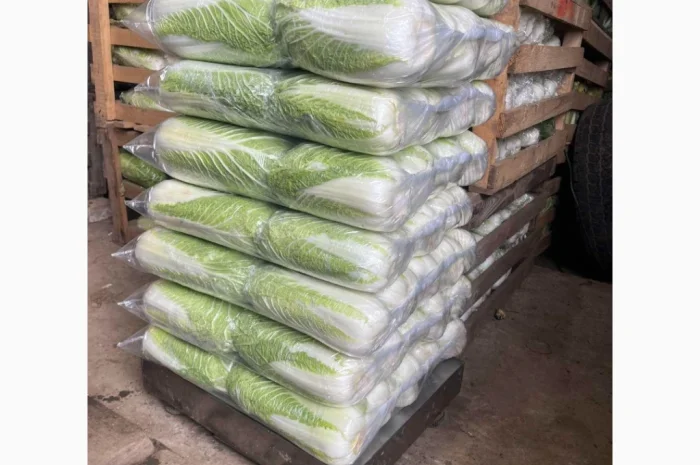 Покупка Пекінської капусти на постійній основі- фото № 9
