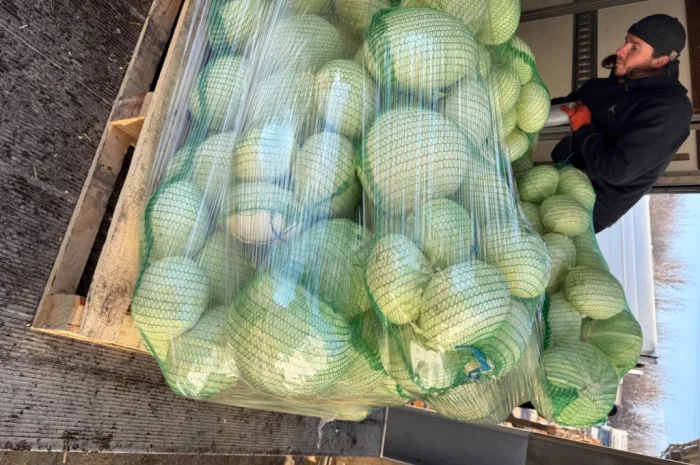 Капуста сорт Агресор, 25 кг, гуртом- фото № 1