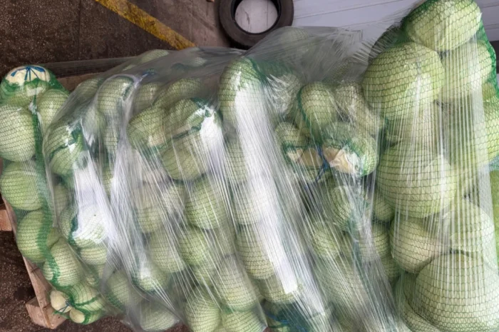 Капуста сорт Агресор, 25 кг, гуртом- фото № 3