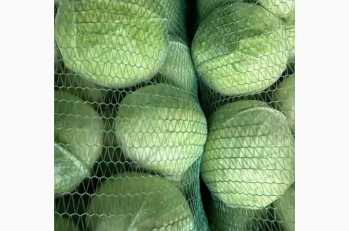 Продажа капусты сторідор- фото № 1