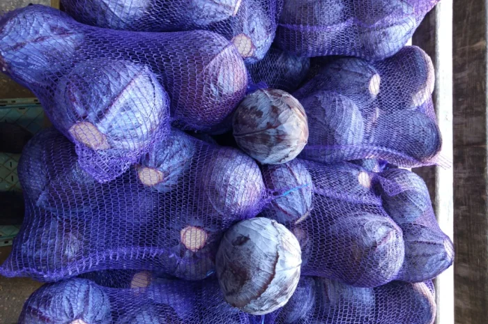 Капуста белая и красная на продажу- фото № 2