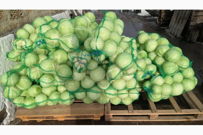Капуста на продаж- фото № 3
