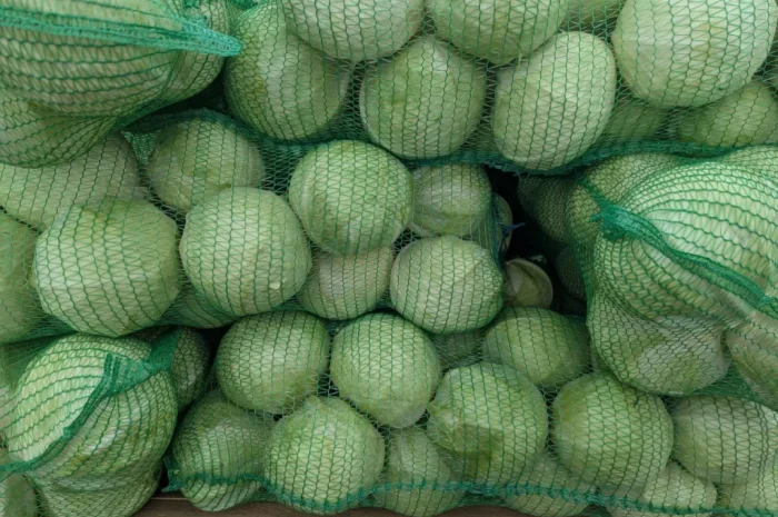 Капуста на продаж- фото № 1