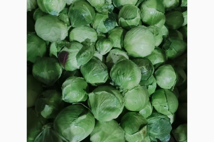 Капуста на продаж- фото № 3