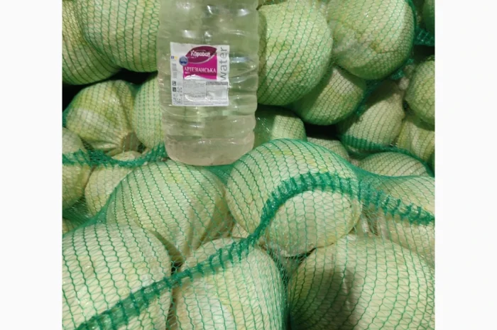 Капуста на продаж- фото № 4