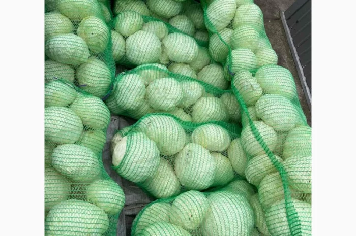 Капуста від постачальника, обсяг від 10 тонн- фото № 1