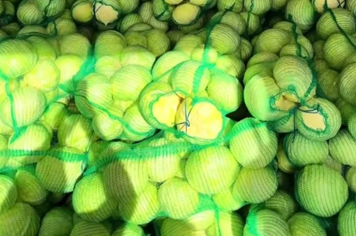 Продаж капусти Агресор- фото № 1