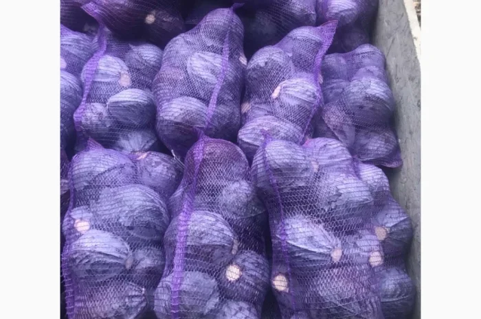 Куплю червоноголовую капусту- фото № 1