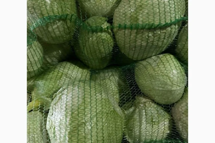 Капуста Агресор от поставщика- фото № 3