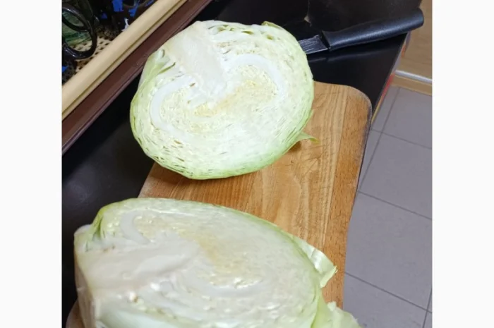 Капуста Агресор от поставщика- фото № 1