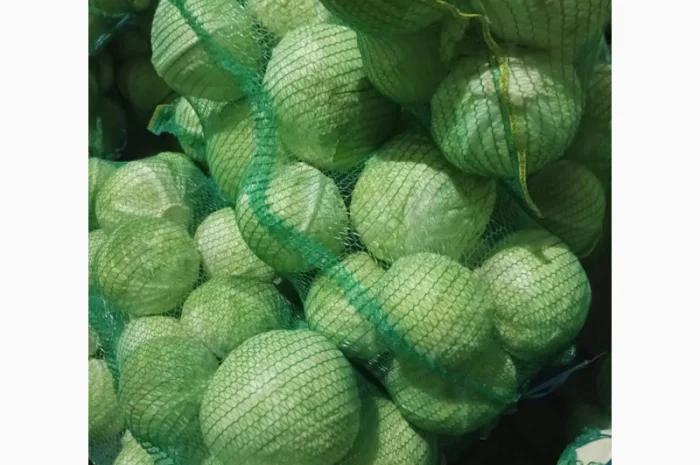 Капуста білокачанна на продаж- фото № 1