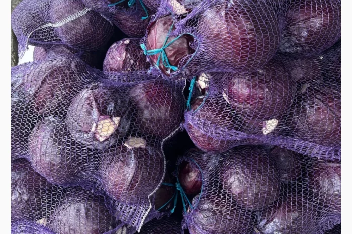 Продаж червоноголової капусти- фото № 2