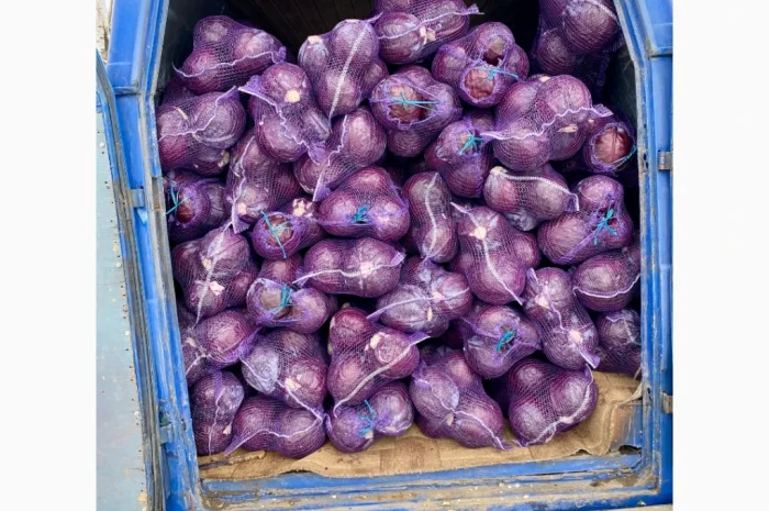 Продаж червоноголової капусти- фото № 3