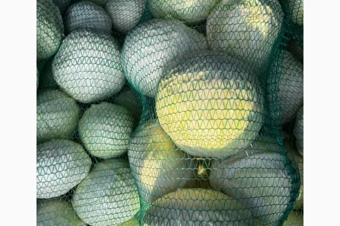 Капуста сорту Анкома на продаж- фото № 3