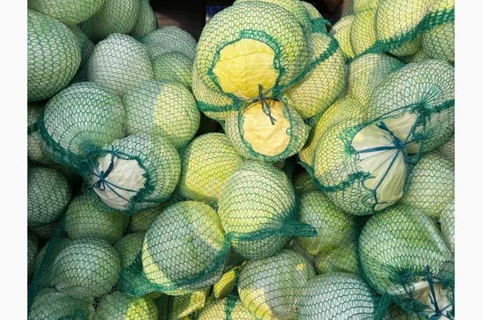 Капуста сорту Анкома на продаж- фото № 4