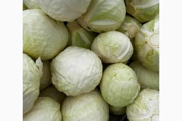 Капуста сорту Анкома на продаж- фото № 2