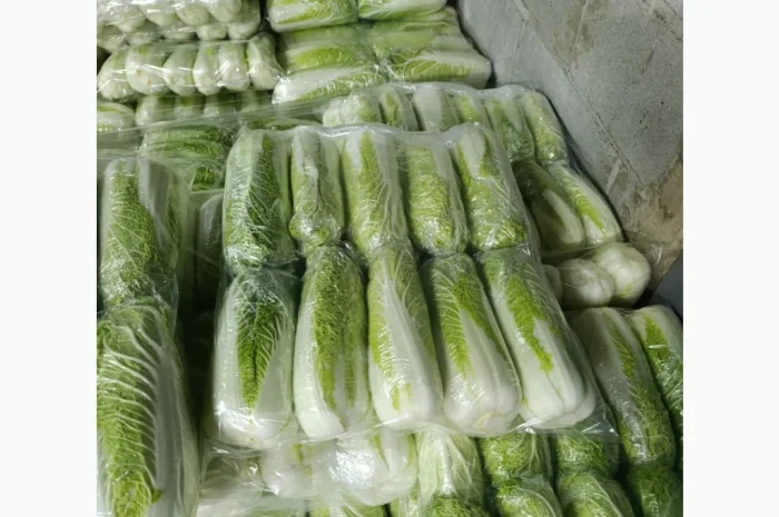 Пекінська капуста на продаж- фото № 1