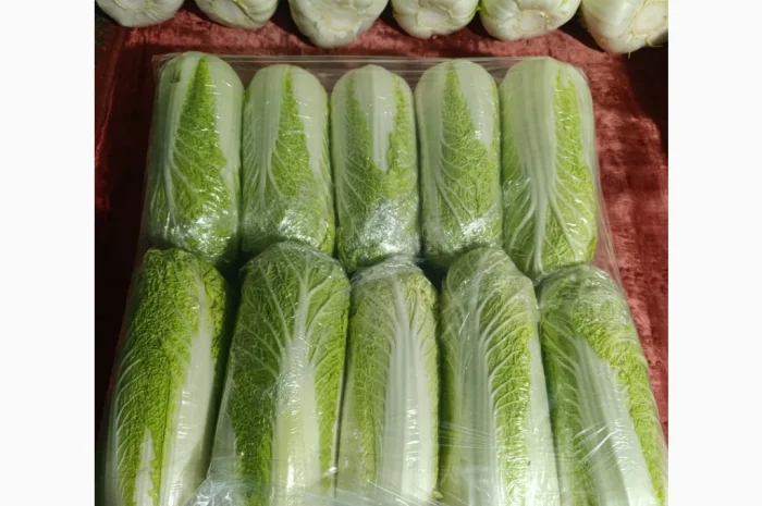 Пекінська капуста на продаж- фото № 2