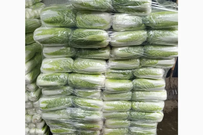 Пекінська капуста на продаж- фото № 3