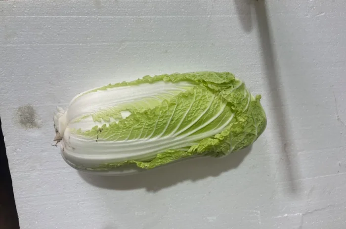 Пекінська капуста на продаж оптом- фото № 4