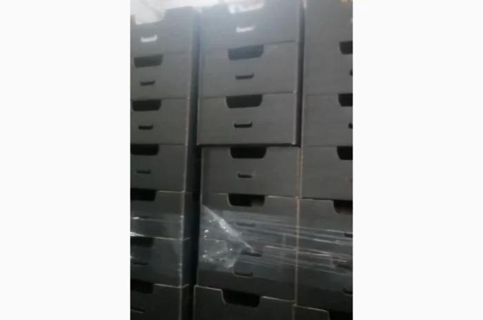 Продаж пекінської капусти оптом- фото № 3