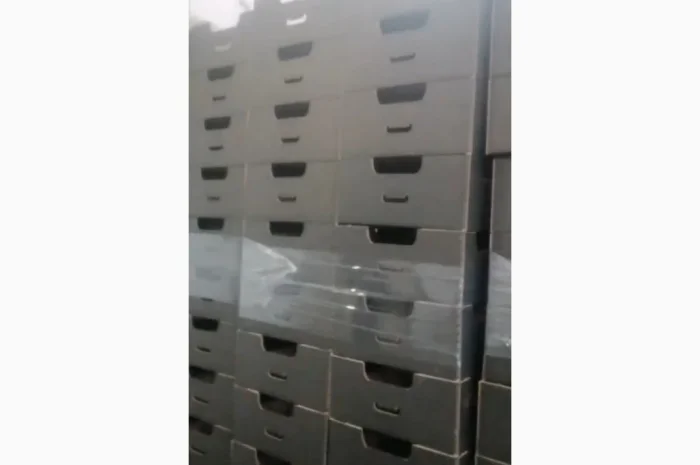 Продаж пекінської капусти оптом- фото № 5