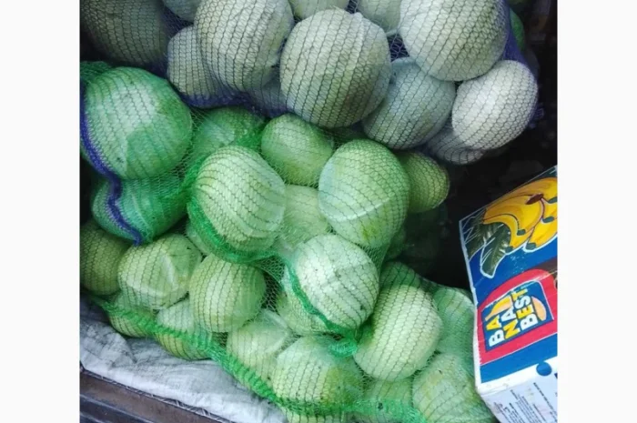 Капуста сорт Агресор на продаж- фото № 1