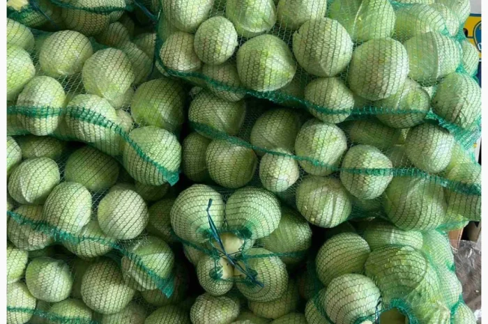 Білокачанна капуста на продаж- фото № 1