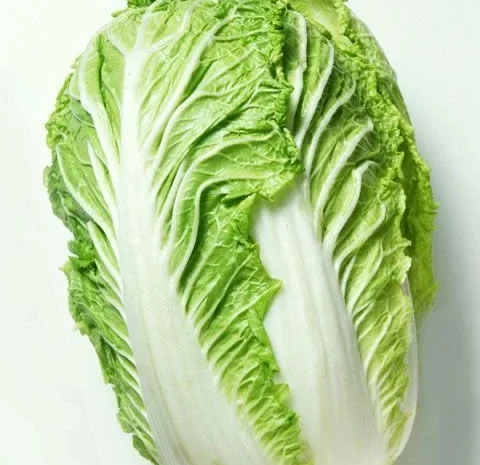Пекінська капуста у великому обʼємі- фото № 1